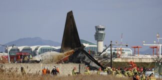 Tragedy In South Korea Plane Crash Claims 85 Lives What Went Wrong, Tragedy In South Korea, Plane Crash, South Korea Tragedy, South Korea, Aircraft Tragedy 2024, Bird Strike Incident, Jeju Air Flight Accident, Rescue Operations In Yonwon, South Korea Plane Crash, India, National News, BJP, PM Modi, Live Updates, Breaking News, Live News, Mango News, Mango News Telugu