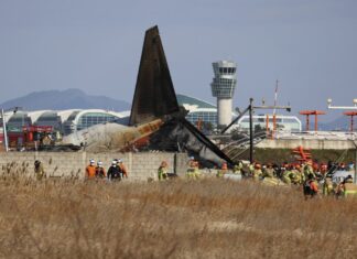 Tragedy In South Korea Plane Crash Claims 85 Lives What Went Wrong, Tragedy In South Korea, Plane Crash, South Korea Tragedy, South Korea, Aircraft Tragedy 2024, Bird Strike Incident, Jeju Air Flight Accident, Rescue Operations In Yonwon, South Korea Plane Crash, India, National News, BJP, PM Modi, Live Updates, Breaking News, Live News, Mango News, Mango News Telugu