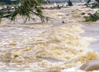 The Meteorological Department Has Warned Once Again, AP Weather, Heavy Rains, Light Rains, Rains, Alert For AP, IMD Weather Alerts, Rain Alert, IMD, IMD Alert, Officials Have Been Alerted, Heavy Rain Are Falling Across AP, Heavy Rain In AP, Weather Report, Red Alert, AP, Heavy Rain, Andhra Pradesh, AP Rains, AP Live Updates, Political News, Mango News, Mango News Telugu
