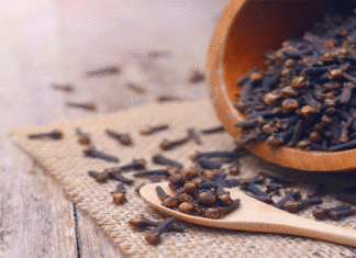 Health Benefits Of Cloves, Benefits Of Cloves, Cloves, Health Benefits, Advantages of Cloves, Clove For Weight Loss, Include Cloves In Your Diet, Tea With Cloves, Weight Loss Naturally, Diet For Weight Loss, Healthy Weight, Nutrition, Physical Activity, Weight Loss Tips, Health Tips, Healthy Food, Healthy Diet, Fitness, Mango News, Mango News Telugu