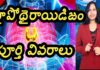 Hypothyroidism Full Details, Hypothyroidism, Full Details Of Hypothyroidism, Latest Video On Hypothyrodism, Health Videos, Yuvaraj Infotainment, Expert Tips By Dr. Lavanya, Yuvaraj Infotainment, Yuvaraj Infotainment, Yuvaraj Infotainment Videos, Latest Yuvaraj Infotainment Videos, Yuvaraj Infotainment Unknown Facts, Hidden Facts, Unknown Facts, Yuvaraj Infotainment Short Videos, Health, Health News, Health Tips, Healthy Food, Healthy Diet, Mango News, Mango News Telugu
