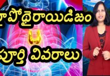 Hypothyroidism Full Details, Hypothyroidism, Full Details Of Hypothyroidism, Latest Video On Hypothyrodism, Health Videos, Yuvaraj Infotainment, Expert Tips By Dr. Lavanya, Yuvaraj Infotainment, Yuvaraj Infotainment, Yuvaraj Infotainment Videos, Latest Yuvaraj Infotainment Videos, Yuvaraj Infotainment Unknown Facts, Hidden Facts, Unknown Facts, Yuvaraj Infotainment Short Videos, Health, Health News, Health Tips, Healthy Food, Healthy Diet, Mango News, Mango News Telugu