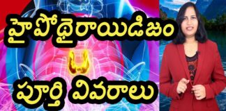 Hypothyroidism Full Details, Hypothyroidism, Full Details Of Hypothyroidism, Latest Video On Hypothyrodism, Health Videos, Yuvaraj Infotainment, Expert Tips By Dr. Lavanya, Yuvaraj Infotainment, Yuvaraj Infotainment, Yuvaraj Infotainment Videos, Latest Yuvaraj Infotainment Videos, Yuvaraj Infotainment Unknown Facts, Hidden Facts, Unknown Facts, Yuvaraj Infotainment Short Videos, Health, Health News, Health Tips, Healthy Food, Healthy Diet, Mango News, Mango News Telugu