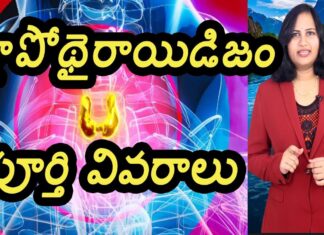Hypothyroidism Full Details, Hypothyroidism, Full Details Of Hypothyroidism, Latest Video On Hypothyrodism, Health Videos, Yuvaraj Infotainment, Expert Tips By Dr. Lavanya, Yuvaraj Infotainment, Yuvaraj Infotainment, Yuvaraj Infotainment Videos, Latest Yuvaraj Infotainment Videos, Yuvaraj Infotainment Unknown Facts, Hidden Facts, Unknown Facts, Yuvaraj Infotainment Short Videos, Health, Health News, Health Tips, Healthy Food, Healthy Diet, Mango News, Mango News Telugu