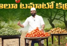 Aloo Tomato Curry In Telugu, Tomato Curry In Telugu, Tomato Curry, Aloo Tomato, Aloo Tomato Curry In Telugu, Nawabs Kitchen Telugu, Tomato Aloo Curry, Biryani, Khwaja Moinuddin, Nawabs Kitchen, Nawabs Kitchen Telugu, Nawabs Kitchen Videos, Nawabs Kitchen Food Videos, Nawabs Kitchen Latest Videos, Nawabs Kitchen Biryani Videos, Khwaja Moinuddin, Nawabs Kitchen Official, Food Vlogs, Food Videos, Healthy Food, Healthy Diet, Fitness, Mango News, Mango News Telugu