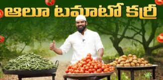 Aloo Tomato Curry In Telugu, Tomato Curry In Telugu, Tomato Curry, Aloo Tomato, Aloo Tomato Curry In Telugu, Nawabs Kitchen Telugu, Tomato Aloo Curry, Biryani, Khwaja Moinuddin, Nawabs Kitchen, Nawabs Kitchen Telugu, Nawabs Kitchen Videos, Nawabs Kitchen Food Videos, Nawabs Kitchen Latest Videos, Nawabs Kitchen Biryani Videos, Khwaja Moinuddin, Nawabs Kitchen Official, Food Vlogs, Food Videos, Healthy Food, Healthy Diet, Fitness, Mango News, Mango News Telugu