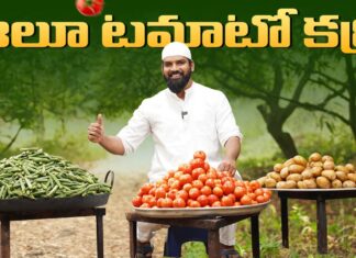 Aloo Tomato Curry In Telugu, Tomato Curry In Telugu, Tomato Curry, Aloo Tomato, Aloo Tomato Curry In Telugu, Nawabs Kitchen Telugu, Tomato Aloo Curry, Biryani, Khwaja Moinuddin, Nawabs Kitchen, Nawabs Kitchen Telugu, Nawabs Kitchen Videos, Nawabs Kitchen Food Videos, Nawabs Kitchen Latest Videos, Nawabs Kitchen Biryani Videos, Khwaja Moinuddin, Nawabs Kitchen Official, Food Vlogs, Food Videos, Healthy Food, Healthy Diet, Fitness, Mango News, Mango News Telugu