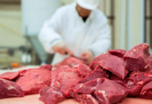 Traces Of Antibiotics In Meat, Traces Of Antibiotics, Antibiotic Residues In Cattle, Antibiotics In Meat, Antibiotic Use In Livestock, Antibiotics In Your Food, Antibiotics In Chicken, Antibiotics In Mutton, Antibiotics, Antimicrobial Resistance, Chicken, Mutton, Health, Health News, Health Tips, Healthy Food, Healthy Diet, Fitness, Mango News, Mango News Telugu