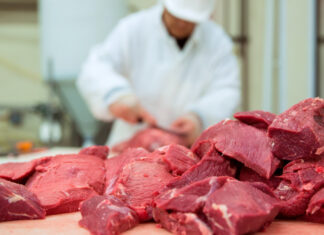 Traces Of Antibiotics In Meat, Traces Of Antibiotics, Antibiotic Residues In Cattle, Antibiotics In Meat, Antibiotic Use In Livestock, Antibiotics In Your Food, Antibiotics In Chicken, Antibiotics In Mutton, Antibiotics, Antimicrobial Resistance, Chicken, Mutton, Health, Health News, Health Tips, Healthy Food, Healthy Diet, Fitness, Mango News, Mango News Telugu