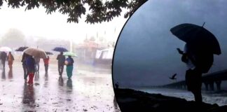 Rains In These Districts Of AP Today, Rains In These Districts, Surface Circulation Effect, Surface Rotation Effect, IMD Weather Alerts, Rain Alert, IMD, IMD Alert, Officials Have Been Alerted, Heavy Rain Are Falling Across AP, Heavy Rain In AP, Weather Report, Red Alert, AP, Heavy Rain, Andhra Pradesh, AP Rains, AP Live Updates, Political News, Mango News, Mango News Telugu