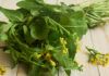 This Green Vegetable Is A Must Eat In Winter, Mustard, Mustard Greens, Mustard Powder, Green Vegetable, Cold Weather, Healthy Food In Winter, Winter Healthy Food, Best Ways to Stay Healthy In Winter, Winter Wellness, Tips For Staying Healthy This Season, Winter Health Care, Health, Health News, Health Tips, Healthy Food, Healthy Diet, Fitness, Mango News, Mango News Telugu