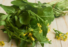 This Green Vegetable Is A Must Eat In Winter, Mustard, Mustard Greens, Mustard Powder, Green Vegetable, Cold Weather, Healthy Food In Winter, Winter Healthy Food, Best Ways to Stay Healthy In Winter, Winter Wellness, Tips For Staying Healthy This Season, Winter Health Care, Health, Health News, Health Tips, Healthy Food, Healthy Diet, Fitness, Mango News, Mango News Telugu