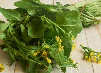 This Green Vegetable Is A Must Eat In Winter, Mustard, Mustard Greens, Mustard Powder, Green Vegetable, Cold Weather, Healthy Food In Winter, Winter Healthy Food, Best Ways to Stay Healthy In Winter, Winter Wellness, Tips For Staying Healthy This Season, Winter Health Care, Health, Health News, Health Tips, Healthy Food, Healthy Diet, Fitness, Mango News, Mango News Telugu