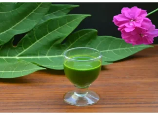 So Many Health Benefits Of Papaya Leaf Juice, Health Benefits Of Papaya, Papaya Leaf Juice Benefits, Benefits Papaya Leaf Juice, Health Benefits Of Papaya Juice, Papaya, Papaya Benefits, Papaya Fruit, Papaya Leaf Juice, Health, Health News, Health Tips, Healthy Food, Healthy Diet, Fitness, Mango News, Mango News Telugu