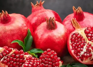 To Stay Healthy In Winter, To Stay Healthy, Healthy Food In Winter, Winter Healthy Food, Best Ways to Stay Healthy In Winter, Winter Wellness, Tips For Staying Healthy This Season, Winter Health Care, Apples, Cranberries, Eat Fruits And Vegetables, Red Cabbage, Sweet Potatoes, Health, Health News, Health Tips, Healthy Food, Healthy Diet, Fitness, Mango News, Mango News Telugu