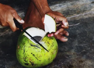 Dont Be Put Off By The Idea That Raw Coconut Is Fat, Raw Coconut Is Fat, Raw Coconut, Fat, Fat Loss With Raw Coconut, Lose Weight With Raw Coconut, Weight Lose With The Raw Coconut, Raw Coconut, Raw Coconut Benefits, Raw Coconut Advantages, Health Benefits Of Raw Coconut, Coconut, Coconut For Weight Loss, Weight Loss Tips, Weight Loss Meal Plan, Faster Way To Fat Loss, Weight Loss Food, Health News, Health Tips, Healthy Food, Healthy Diet, Fitness, Mango News, Mango News Telugu