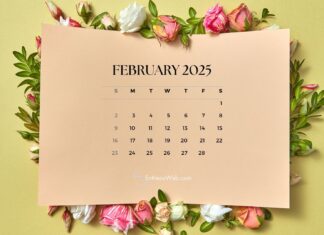 How Much Of The News About The February Specialty In 2025 Is True, The February Specialty In 2025 Is True, February Specialty In 2025, 2025 February Specialty, 2025 February Specialty News, February 2025, February Specialty, News About The February Specialty In 2025, Specialty In 2025, Live Updates, Breaking News, Headlines, Live News, Mango News, Mango News Telugu