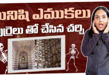 Church Made Of Human Bones And Skulls Portugals Chapel Of Bones Sao Francisco Church Karthi Kites,Church Made Of Human Bones And Skulls,Karthi Kites,Portugal’s Chapel Of Bones,Sao Francisco Church,Mango News Telugu,Mango News,మనిషి ఎముకలు పుర్రెలు తో చేసిన చర్చి,Portugal's Chapel of Bones,Sao Francisco Church,Karthi Kites,Portugal Travel,Chapel Of Bones,Evora,Macabre History,Best Christmas Markets Europe,German Christmas Market,Christmas In Germany,Holiday Season,Festive Vibes,Travel Vlog,German Culture,Christmas Markets,Winter Wonders,Life In Germany,German,Sao Francisco