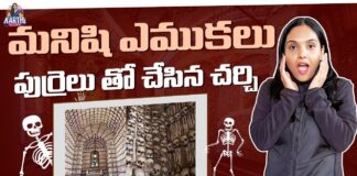 Church Made Of Human Bones And Skulls Portugals Chapel Of Bones Sao Francisco Church Karthi Kites,Church Made Of Human Bones And Skulls,Karthi Kites,Portugal’s Chapel Of Bones,Sao Francisco Church,Mango News Telugu,Mango News,మనిషి ఎముకలు పుర్రెలు తో చేసిన చర్చి,Portugal's Chapel of Bones,Sao Francisco Church,Karthi Kites,Portugal Travel,Chapel Of Bones,Evora,Macabre History,Best Christmas Markets Europe,German Christmas Market,Christmas In Germany,Holiday Season,Festive Vibes,Travel Vlog,German Culture,Christmas Markets,Winter Wonders,Life In Germany,German,Sao Francisco