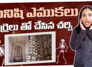 Church Made Of Human Bones And Skulls Portugals Chapel Of Bones Sao Francisco Church Karthi Kites,Church Made Of Human Bones And Skulls,Karthi Kites,Portugal’s Chapel Of Bones,Sao Francisco Church,Mango News Telugu,Mango News,మనిషి ఎముకలు పుర్రెలు తో చేసిన చర్చి,Portugal's Chapel of Bones,Sao Francisco Church,Karthi Kites,Portugal Travel,Chapel Of Bones,Evora,Macabre History,Best Christmas Markets Europe,German Christmas Market,Christmas In Germany,Holiday Season,Festive Vibes,Travel Vlog,German Culture,Christmas Markets,Winter Wonders,Life In Germany,German,Sao Francisco