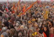 Saints Are A Special Attraction At The Kumbh Mela, Saints Are A Special Attraction, Special Attraction At The Kumbh Mela, Special Attraction Of Saints, Mahakumbh Mela, Prayagraj, The Hustle And Bustle Of Akharas, The Kumbh Mela, Kumbh Mela, Kumbh Mela A Grand Festival, Maha Kumbh Mela Prayagraj 2025, Maha Kumbh Mela 2025,Ganga, Godavari, Kaveri, Prayagraj, Tungabhadra, Yamuna, India, National News, Live Updates, Breaking News, Headlines, Live News, Mango News, Mango News Telugu