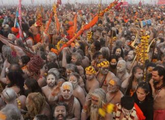 Saints Are A Special Attraction At The Kumbh Mela, Saints Are A Special Attraction, Special Attraction At The Kumbh Mela, Special Attraction Of Saints, Mahakumbh Mela, Prayagraj, The Hustle And Bustle Of Akharas, The Kumbh Mela, Kumbh Mela, Kumbh Mela A Grand Festival, Maha Kumbh Mela Prayagraj 2025, Maha Kumbh Mela 2025,Ganga, Godavari, Kaveri, Prayagraj, Tungabhadra, Yamuna, India, National News, Live Updates, Breaking News, Headlines, Live News, Mango News, Mango News Telugu