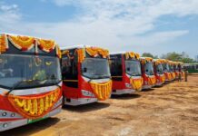 Special Buses For AP For Sankranti, Special Buses, Special Buses For Sankranti, Sankranti Special Buses, AP Special Buses For Sankranti, Metro Buses, Pallevelugu, Sankranti, TGSRTC, Sankranti 2025, Telangana Government, Hyderabad Live Updates, Latest Hyderabad News, Telangana, TS Politics, TS Live Updates, Political News, Mango News, Mango News Telugu
