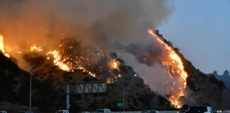 California Wildfire Engulfs Los Angeles Tragedy Strikes As Celebrities Evacuate, Los Angeles Tragedy, Los Angeles Tragedy Strikes As Celebrities Evacuate, Celebrities Evacuate, California Wildfires, Hollywood Evacuation, Indian Movies Oscar, Los Angeles Fire, Oscars 2025, National News, International News, Live Updates, Breaking News, Headlines, Live News, Mango News, Mango News Telugu