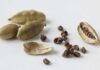 Drinking Cardamom Water On An Empty Stomach Has Many Benefits, Drinking Cardamom Water, Empty Stomach, Elaichi Water, Benefits, Cardamom Water Benefits, Drinking Elaichi Water On An Empty Stomach, Health Experts, Health News, Health Tips, Healthy Food, Healthy Diet, Fitness, Mango News, Mango News Telugu