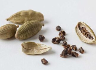 Drinking Cardamom Water On An Empty Stomach Has Many Benefits, Drinking Cardamom Water, Empty Stomach, Elaichi Water, Benefits, Cardamom Water Benefits, Drinking Elaichi Water On An Empty Stomach, Health Experts, Health News, Health Tips, Healthy Food, Healthy Diet, Fitness, Mango News, Mango News Telugu