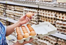 అమెరికాలో గుడ్డుకు గడ్డు పరిస్థితి Eggs In America Are In A Bad Situation, A Bad Situation In America, America Bad Situation, Eggs In America, Eggs, AVN Influe Enja, Breakfast, Chicken Eggs, Egg Price In America, Trump, New York, America, USA, America News, America Live Updates, National News, International News, Live Updates, Breaking News, Headlines, Live News, Mango News, Mango News Telugu