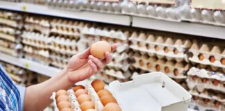 Eggs In America Are In A Bad Situation, A Bad Situation In America, America Bad Situation, Eggs In America, Eggs, AVN Influe Enja, Breakfast, Chicken Eggs, Egg Price In America, Trump, New York, America, USA, America News, America Live Updates, National News, International News, Live Updates, Breaking News, Headlines, Live News, Mango News, Mango News Telugu