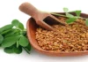 Do You Know How Good Fenugreek Is, Advantages Fenugreek, Benefits Of Fenugreek, Fenugreek Health Benefits, Fenugreek, Hair Loss, Health, Black Hair, Black Tea, Mehndi, White Hair, Dandruff, Experts, Hair Loss, Hair Loss Tips, Effects Of Hair Loss, Home Remedies for Dry Hair, Tips For Black Hair, Black Hair Tips, Health News, Health Tips, Healthy Food, Healthy Diet, Fitness, Mango News, Mango News Telugu