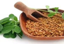 Do You Know How Good Fenugreek Is, Advantages Fenugreek, Benefits Of Fenugreek, Fenugreek Health Benefits, Fenugreek, Hair Loss, Health, Black Hair, Black Tea, Mehndi, White Hair, Dandruff, Experts, Hair Loss, Hair Loss Tips, Effects Of Hair Loss, Home Remedies for Dry Hair, Tips For Black Hair, Black Hair Tips, Health News, Health Tips, Healthy Food, Healthy Diet, Fitness, Mango News, Mango News Telugu