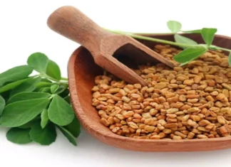 Do You Know How Good Fenugreek Is, Advantages Fenugreek, Benefits Of Fenugreek, Fenugreek Health Benefits, Fenugreek, Hair Loss, Health, Black Hair, Black Tea, Mehndi, White Hair, Dandruff, Experts, Hair Loss, Hair Loss Tips, Effects Of Hair Loss, Home Remedies for Dry Hair, Tips For Black Hair, Black Hair Tips, Health News, Health Tips, Healthy Food, Healthy Diet, Fitness, Mango News, Mango News Telugu