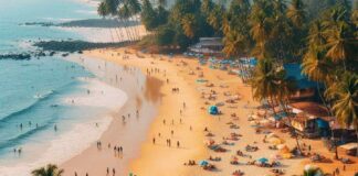 Goa Tourism Thrives Despite Social Media Myths, Goa Tourism, Social Media Myths, Goa Tourism Myths, Myths In Goa Tourism, Adventure Tourism Goa, Goa Beaches Revenue, Goa International Tourists, Social Media Myths, Goa Tourism Growth, National News, India, BJP, PM Modi, Live Updates, Breaking News, Live News, Mango News, Mango News Telugu