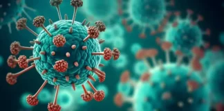 HMPV Surge In China Indias Vigilance And Global Health Concerns, Global Health Concerns, HMPV Surge In China, HMPV Surge In China Indias Vigilance, Indias Vigilance, China Health Crisis, Global Health Concerns, HMPV Virus, India Health Vigilance, Respiratory Virus Surge, Health, Health News, Health Tips, Healthy Food, Healthy Diet, Fitness, Mango News, Mango News Telugu