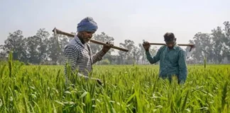 PM Kisan Samman Nidhi Fresh Funds For Farmers Set To Roll Out Soon, PM Kisan Samman Nidhi, PM Kisan, Fresh Funds For Farmers, PM Kisan News, Latest PM Kisan Update, Agriculture Benefits, E KYC Updates, Farmer Welfare, Financial Aid, PM Kisan Scheme, Modi, India, BJP, Congress, Live Updates, Breaking News, Headlines, Live News, Mango News, Mango News Telugu