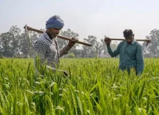 PM Kisan Samman Nidhi Fresh Funds For Farmers Set To Roll Out Soon, PM Kisan Samman Nidhi, PM Kisan, Fresh Funds For Farmers, PM Kisan News, Latest PM Kisan Update, Agriculture Benefits, E KYC Updates, Farmer Welfare, Financial Aid, PM Kisan Scheme, Modi, India, BJP, Congress, Live Updates, Breaking News, Headlines, Live News, Mango News, Mango News Telugu
