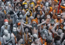 కుంభమేళా తర్వాత నాగ సాధువులు ఎక్కడికి వెళతారు? Where Do Naga Saints Go After The Kumbh Mela, After The Kumbh Mela, After The Kumbh Mela Where Do Naga Saints Go, Ardha Kumbh, Maha Kumbh 2025, Mahakumbh Mela, Naga Sadhus, Poorna Kumbh, Aghoras, Devotees, Holy Dips, Maha Kumbh Mela, Naga Saints, Prayagraj, Kumbh Mela, Kumbh Mela A Grand Festival, Maha Kumbh Mela Prayagraj 2025, Maha Kumbh Mela 2025,Ganga, Godavari, Kaveri, Prayagraj, Tungabhadra, Yamuna, India, National News, Live Updates, Breaking News, Headlines, Live News, Mango News, Mango News Telugu