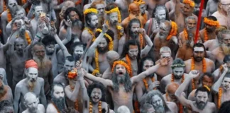Where Do Naga Saints Go After The Kumbh Mela, After The Kumbh Mela, After The Kumbh Mela Where Do Naga Saints Go, Ardha Kumbh, Maha Kumbh 2025, Mahakumbh Mela, Naga Sadhus, Poorna Kumbh, Aghoras, Devotees, Holy Dips, Maha Kumbh Mela, Naga Saints, Prayagraj, Kumbh Mela, Kumbh Mela A Grand Festival, Maha Kumbh Mela Prayagraj 2025, Maha Kumbh Mela 2025,Ganga, Godavari, Kaveri, Prayagraj, Tungabhadra, Yamuna, India, National News, Live Updates, Breaking News, Headlines, Live News, Mango News, Mango News Telugu