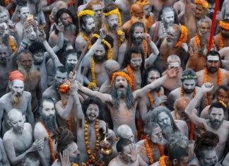 Where Do Naga Saints Go After The Kumbh Mela, After The Kumbh Mela, After The Kumbh Mela Where Do Naga Saints Go, Ardha Kumbh, Maha Kumbh 2025, Mahakumbh Mela, Naga Sadhus, Poorna Kumbh, Aghoras, Devotees, Holy Dips, Maha Kumbh Mela, Naga Saints, Prayagraj, Kumbh Mela, Kumbh Mela A Grand Festival, Maha Kumbh Mela Prayagraj 2025, Maha Kumbh Mela 2025,Ganga, Godavari, Kaveri, Prayagraj, Tungabhadra, Yamuna, India, National News, Live Updates, Breaking News, Headlines, Live News, Mango News, Mango News Telugu