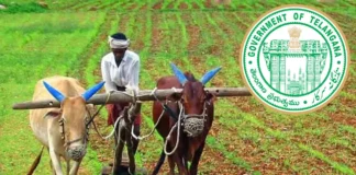 Rythu Bharosa Governments Swift Moves Amid Opposition Allegations, Rythu Bharosa, Governments Swift Moves, Rythu Bharosa Opposition Allegations, Opposition Allegations, Agricultural Policies, Opposition Criticism, Rythu Bharosa Scheme, Telangana Farmer Welfare, Telangana Government Initiatives, Hyderabad Live Updates, Latest Hyderabad News, Telangana, TS Politics, TS Live Updates, Political News, Mango News, Mango News Telugu