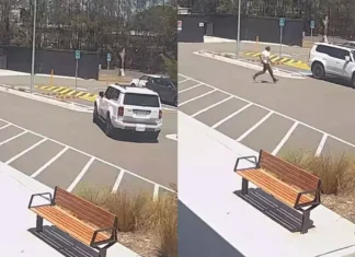 Fans Selfie Attempt With Australian Cricketer Ends In A Parking Mishap,Fan Car Crashes While Seeking Selfie With Australia Star Sam Konstas,Sam Konstas,Car Crash Over Selfie With Sam Konstas,Sam Konstas Car Video,Sam Konstas Viral Car Video,Sam Konstas Viral Video,Sam Konstas Latest News,Sam Konstas Selfie Video,Australia Fan,Mango News,Mango News Telugu,Cricket Fan Mishap,Fan’s Parking Fail,Parking Mistake Incident,Sam Konstas Viral Moment,Selfie Gone Wrong,Viral Video,Selfie,Cricketer Sam Konstas,Sam Konstas Effect,Fan Crashes Car In Attempt To Take Selfie With Sam Konstas,Konstas Selfie Car Crash,Fans Selfie Attempt With Sam Konstas,Hilarious Car Crash Over Selfie,Fan Car Crashes While Seeking Selfie With Australia Cricketer Sam Konstas,Australia Cricketer Sam Konstas,Australia