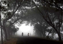 Cold Wave Grips Telangana Temperatures Drop To Single Digits, Cold Wave, Telangana Temperatures Dropping, Temperatures Drop To Single Digits, Telangana Temperatures, Dense Fog, Health Warnings, Low Temperatures, Telangana Cold Wave, Weather Updates, Winter Wellness, Tips For Staying Healthy This Season, Winter Health Care, Health, Health News, Health Tips, Healthy Food, Healthy Diet, Fitness, Mango News, Mango News Telugu