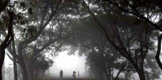 Cold Wave Grips Telangana Temperatures Drop To Single Digits, Cold Wave, Telangana Temperatures Dropping, Temperatures Drop To Single Digits, Telangana Temperatures, Dense Fog, Health Warnings, Low Temperatures, Telangana Cold Wave, Weather Updates, Winter Wellness, Tips For Staying Healthy This Season, Winter Health Care, Health, Health News, Health Tips, Healthy Food, Healthy Diet, Fitness, Mango News, Mango News Telugu