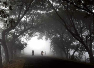 Cold Wave Grips Telangana Temperatures Drop To Single Digits, Cold Wave, Telangana Temperatures Dropping, Temperatures Drop To Single Digits, Telangana Temperatures, Dense Fog, Health Warnings, Low Temperatures, Telangana Cold Wave, Weather Updates, Winter Wellness, Tips For Staying Healthy This Season, Winter Health Care, Health, Health News, Health Tips, Healthy Food, Healthy Diet, Fitness, Mango News, Mango News Telugu