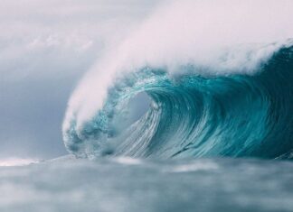 Tsunami Alert Massive Earthquake In The Caribbean Sea, Tsunami Alert, Massive Earthquake In The Caribbean Sea, Massive Earthquake, Caribbean Sea Earthquake, Alert, Caribbean Sea, Earthquake, Tsunami, USGS, International News, Live Updates, Breaking News, Headlines, Live News, Mango News, Mango News Telugu