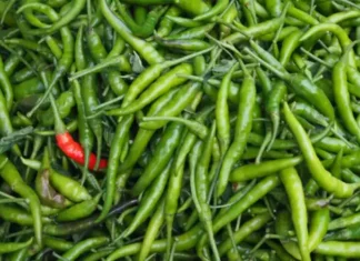 Dont Take Green Chilies Lightly
