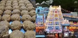Tirumala Laddu Adulteration Scandal, More Arrests On The Way